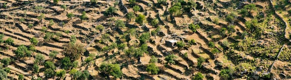 Photo: Yiorgis Yerolymbos